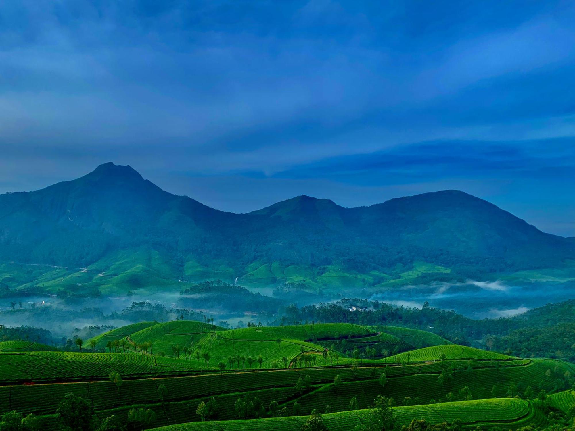 Lockhart Bungalow Munnar - A Cgh Earth Saha Experience Exteriör bild