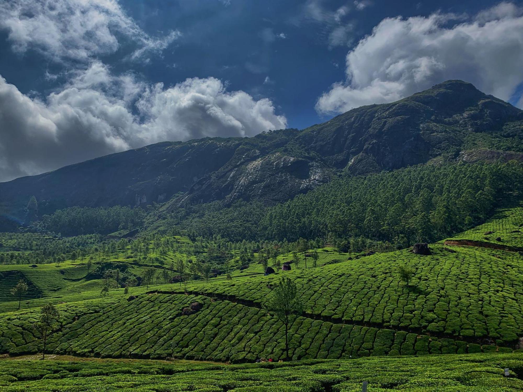 Lockhart Bungalow Munnar - A Cgh Earth Saha Experience Exteriör bild