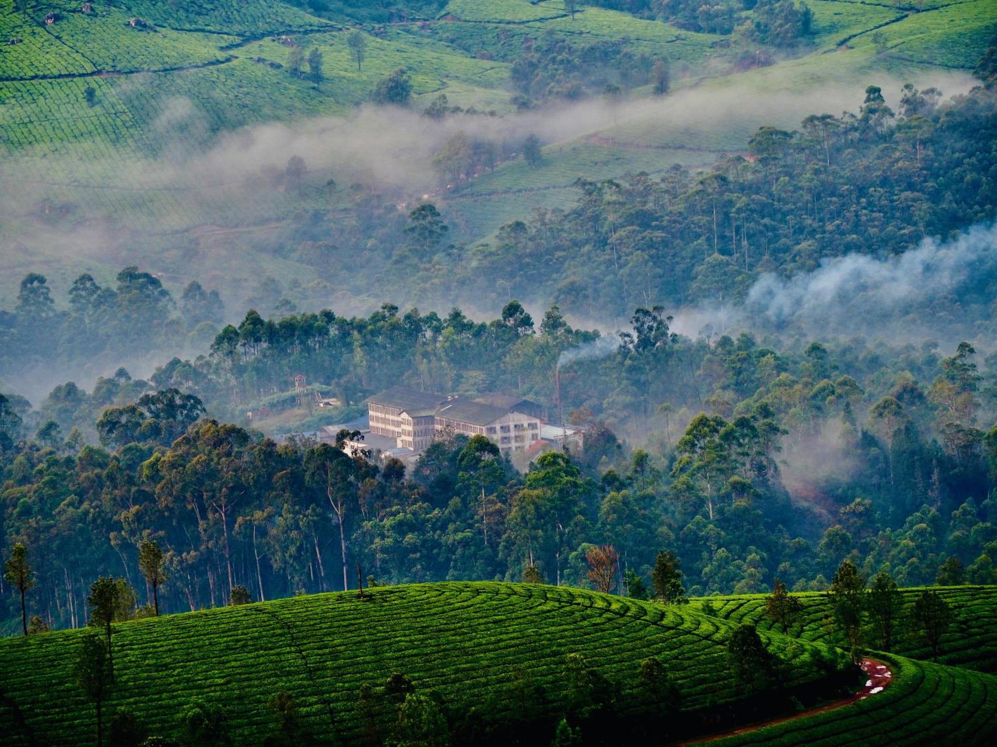 Lockhart Bungalow Munnar - A Cgh Earth Saha Experience Exteriör bild