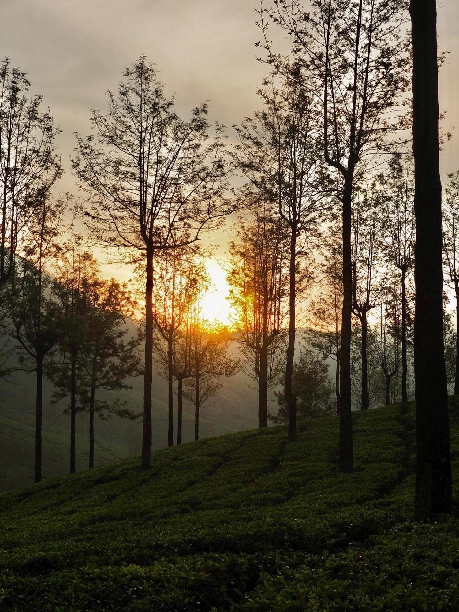 Lockhart Bungalow Munnar - A Cgh Earth Saha Experience Exteriör bild
